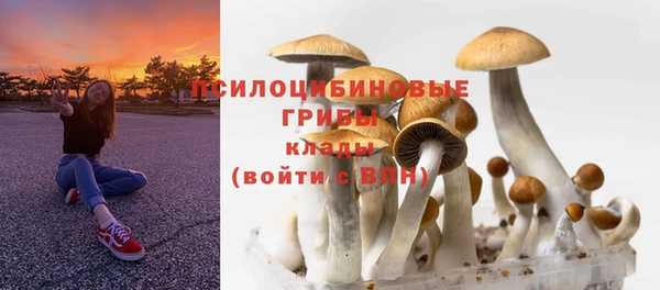 дурь Алексеевка