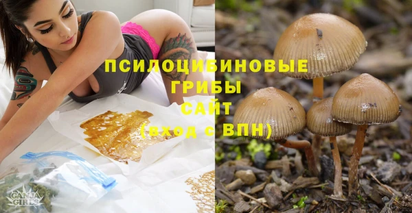 героин Алексин