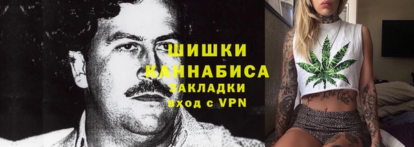 дурь Алексеевка